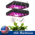 Benih LED Grow Light COB 600W Merah Biru